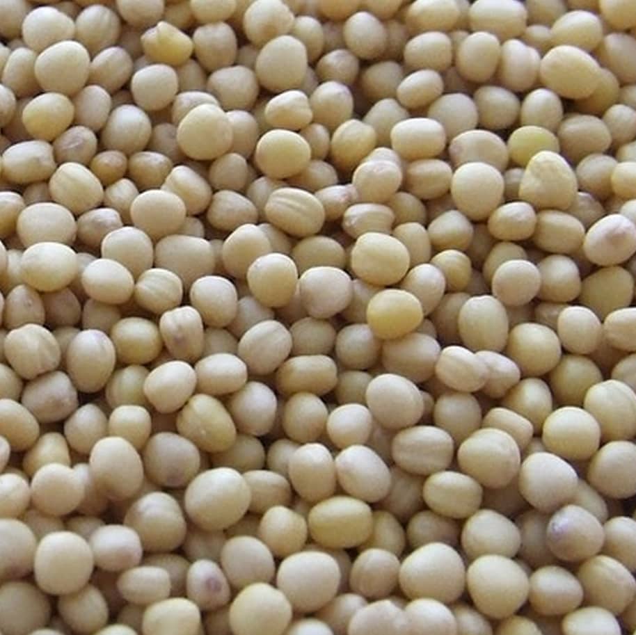 Grano de soja Cosembrar